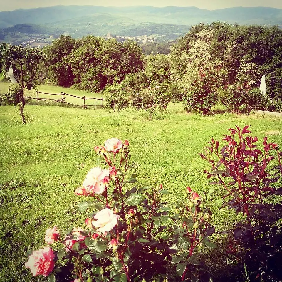 Holiday home La Collina Tuscan Stone Cottage Soci